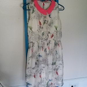 Cute bird dress in very good condition